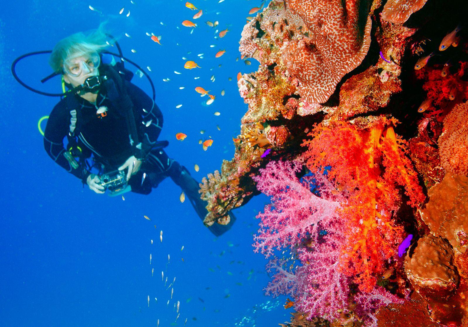 The Art of Responsible Diving: Preserving the Beauty That Lies Beneath