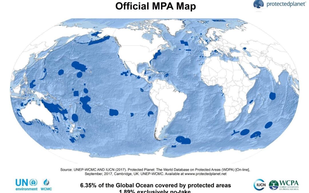 Marine protected areas for dive tourism