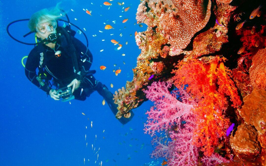 Diving Tourism Market Insights – Growth & Forecast 2025-2035 | Future Market Insights, Inc.