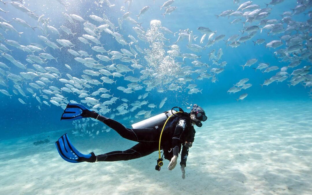 Dive Curaçao Celebrates an Outstanding Presence at the 2025 Toronto Outdoor Adventure Show