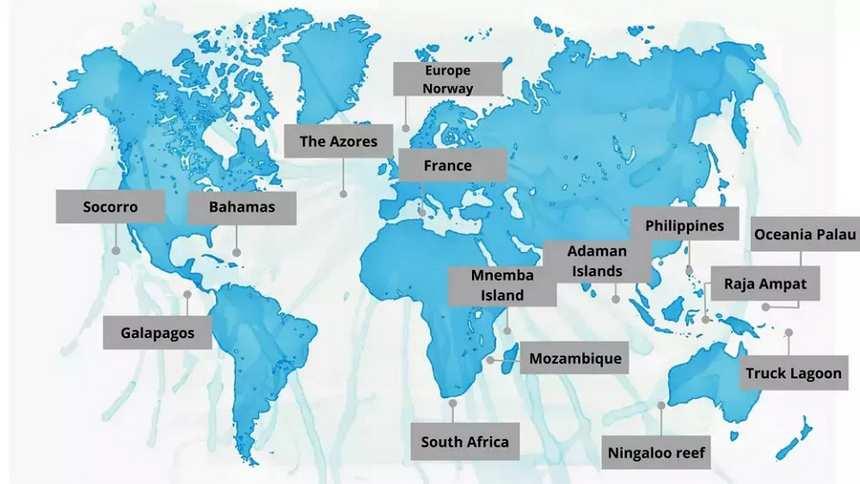 Which country named best diving destination in Asia?