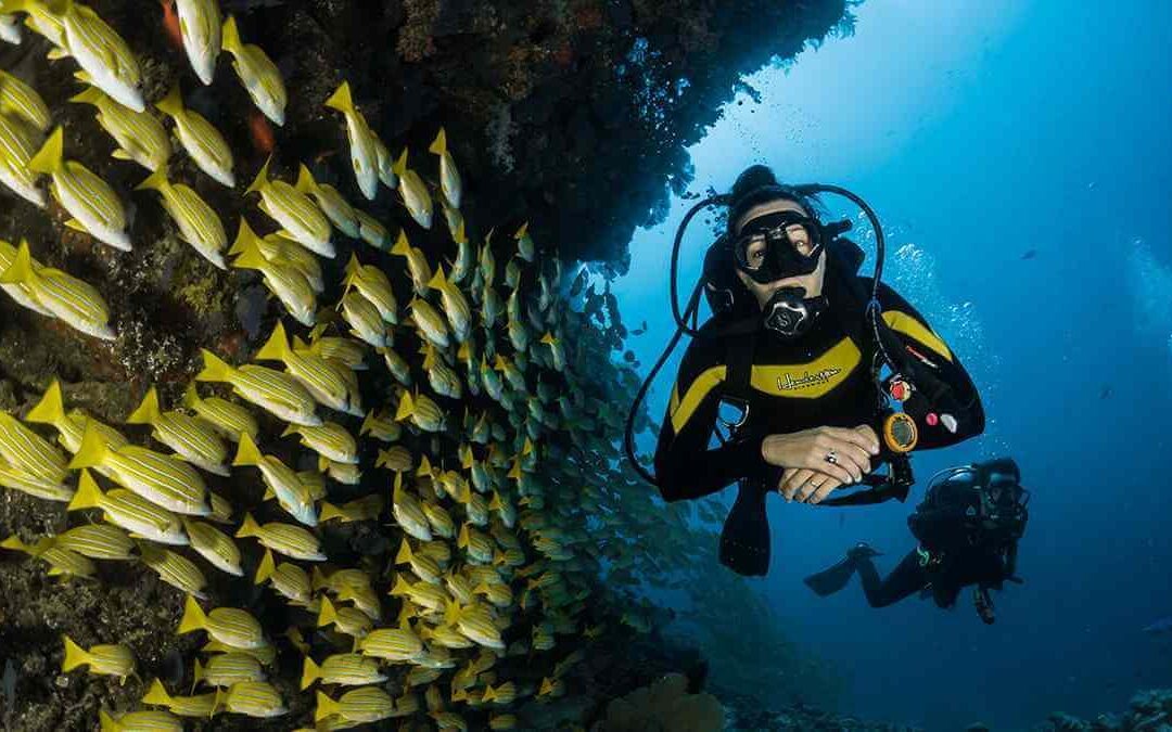 6 ways to explore Malta