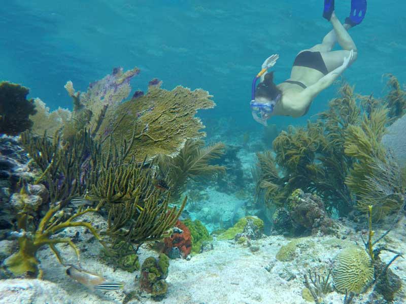 25 Best Snorkeling Spots Around the World