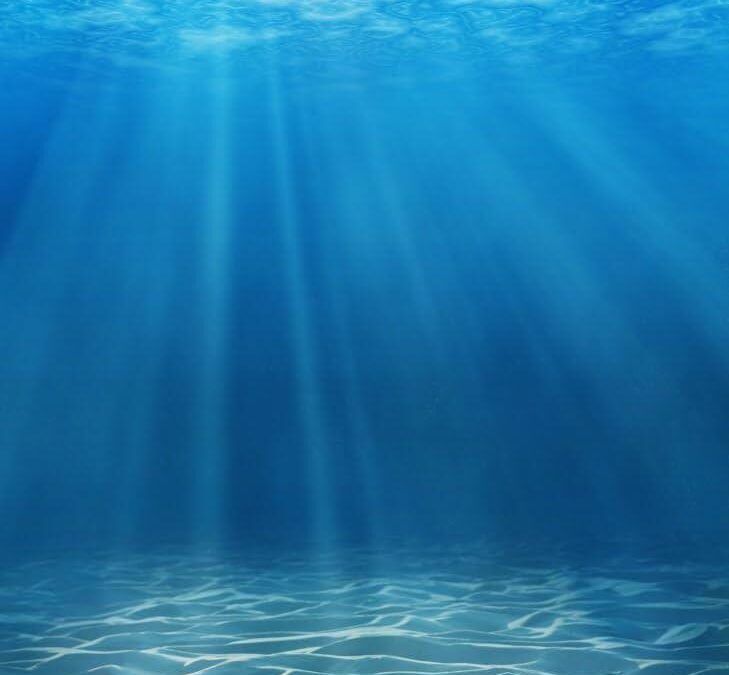 Guy Fieri on His Favorite Food Destinations—and the Surprising Restaurant He Says Is Always Worth a Detour