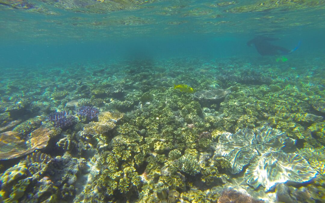 From Indonesia To Turkey: Discover 10 Best International Travel Destinations For Indians To Visit During Summer 2025