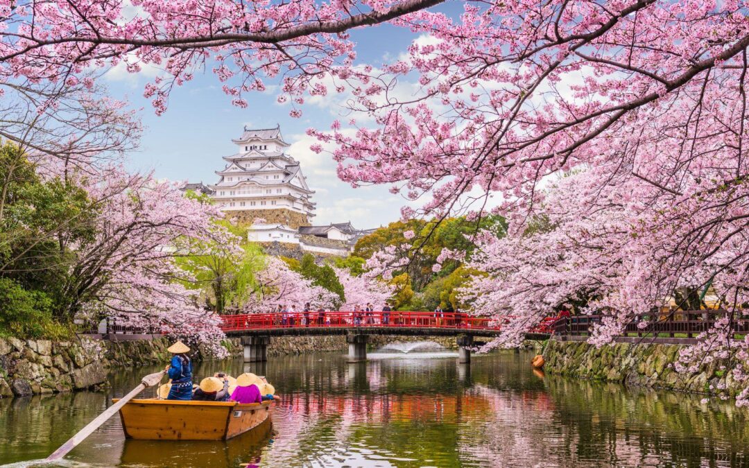 These Are The Best Places To Go Diving In Japan