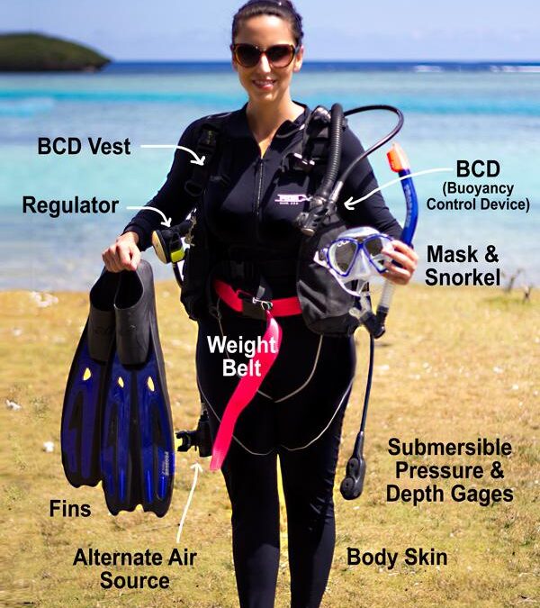 International Scuba Diving Day 2025: Eight underwater destinations you cannot miss!