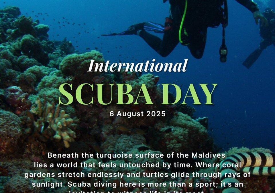 International Scuba Diving Day: Places to experience the best deep-sea experience